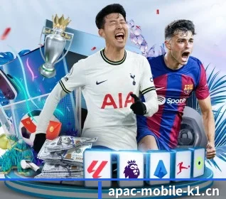 K1体育官方入口 APP